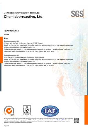 ISO 9001 eng