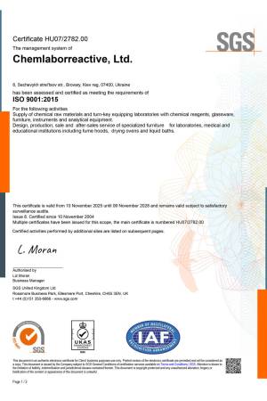 ISO 9001 eng 2