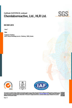 ISO 9001 eng 2