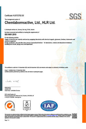 ISO 9001 eng